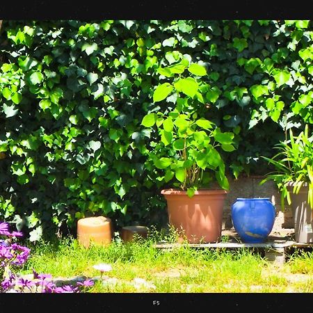 Agnes Apartment Limoux Bagian luar foto