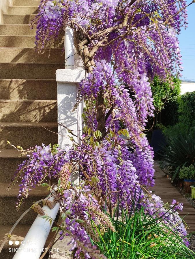 Agnes Apartment Limoux Bagian luar foto