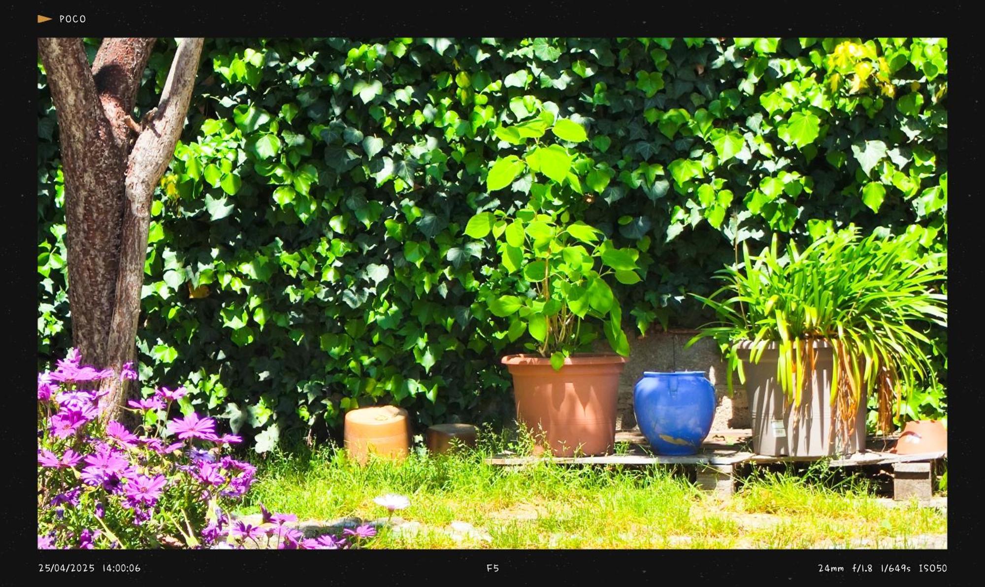 Agnes Apartment Limoux Bagian luar foto
