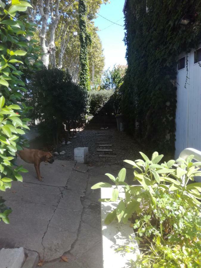 Agnes Apartment Limoux Bagian luar foto