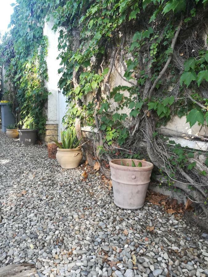 Agnes Apartment Limoux Bagian luar foto